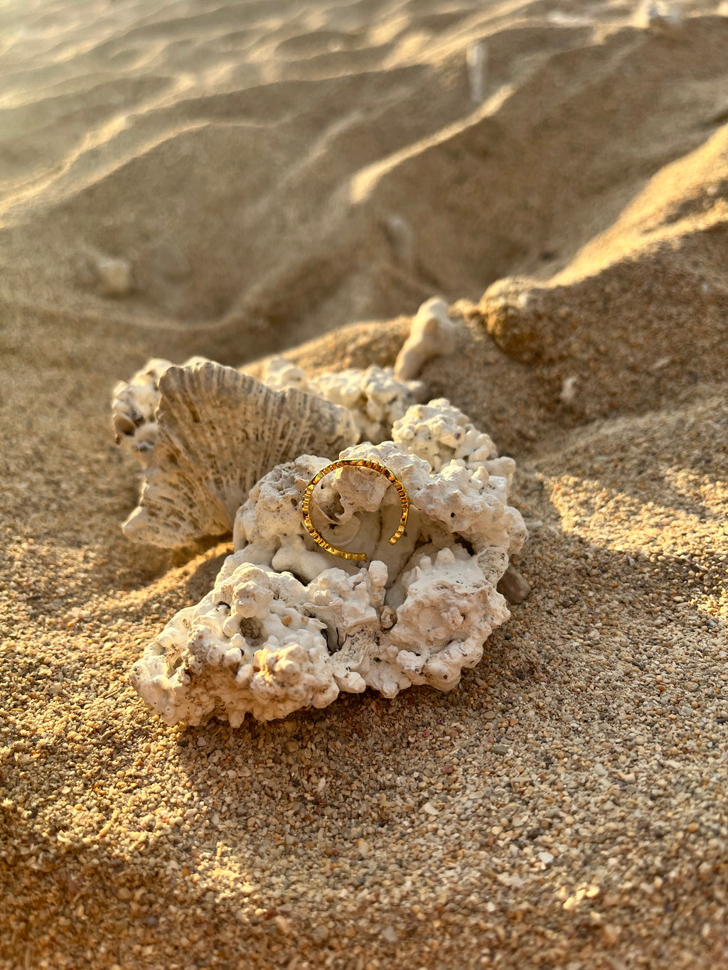 La bague Roma sur un corail à la plage de la saline les bains à l'ile de la Réunion